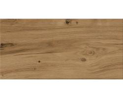 ASHVILLE brown 29,7x59,8 M6 (ente-ekste/Zidna/podna)