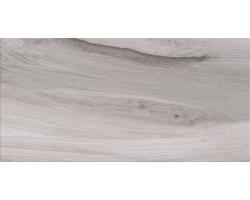 ASHVILLE light grey 29,7x59,8 M1 2 (ente-ekste/Zidna/podna)