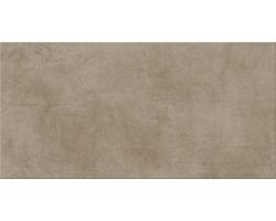 DREAMING brown 29,7x59,8 K5 2 (ente-Zidna/podna)