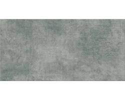 DREAMING dark grey 29,7x59,8 K6 2 (ente-Zidna/podna)