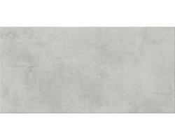 DREAMING light grey 29,7x59,8 K12 (ente-Zidna/podna)