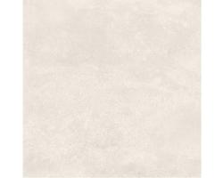 GPTU 605 white matt 60x60 rett SD (ente-podna)
